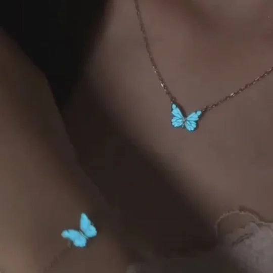 🦋Une collection de papillons lumineux