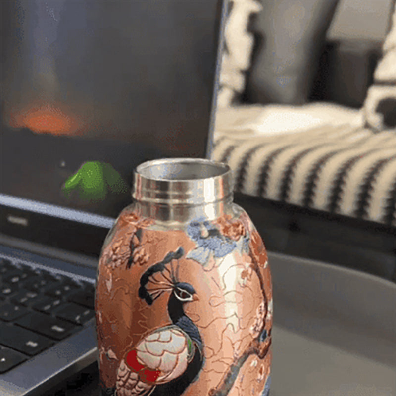 🎁Nouveaux produits créatifs 52% de réduction🔥Bouteille d'eau chaude élégante et portable 🎒