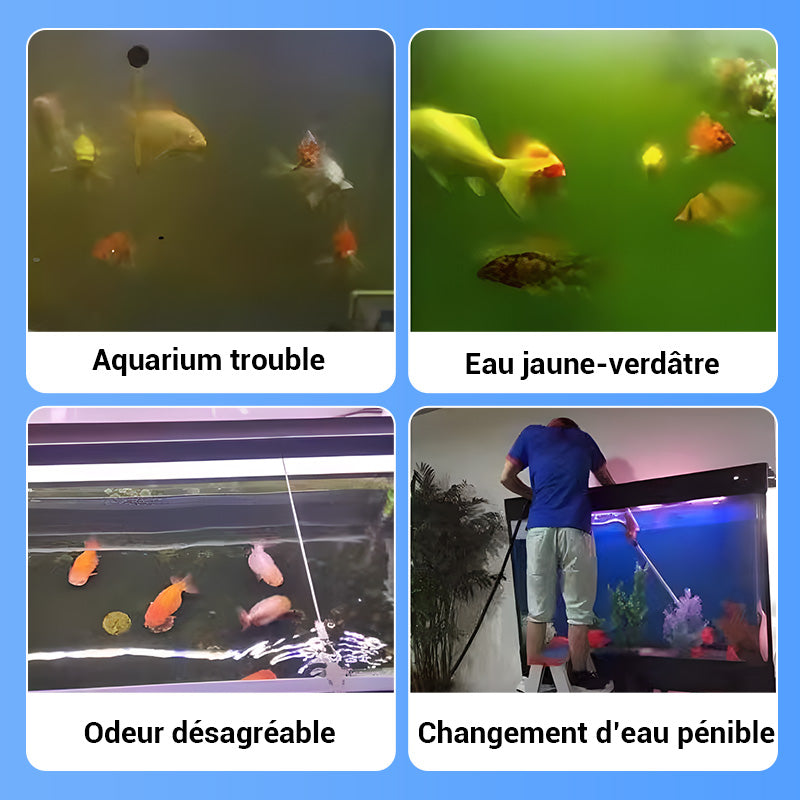 💎 1 ACHETÉS, 1 GRATUITS ! 💎 Comprimés Nettoyant Aquarium Multi-fonctions 2026 – Eau Cristalline en Minutes, Sûrs pour Poissons & Plantes