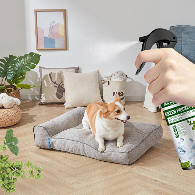 🌹Soldes d'été🧑‍⚕️Spray puissant anti-acariens（🔥55% de réduction）