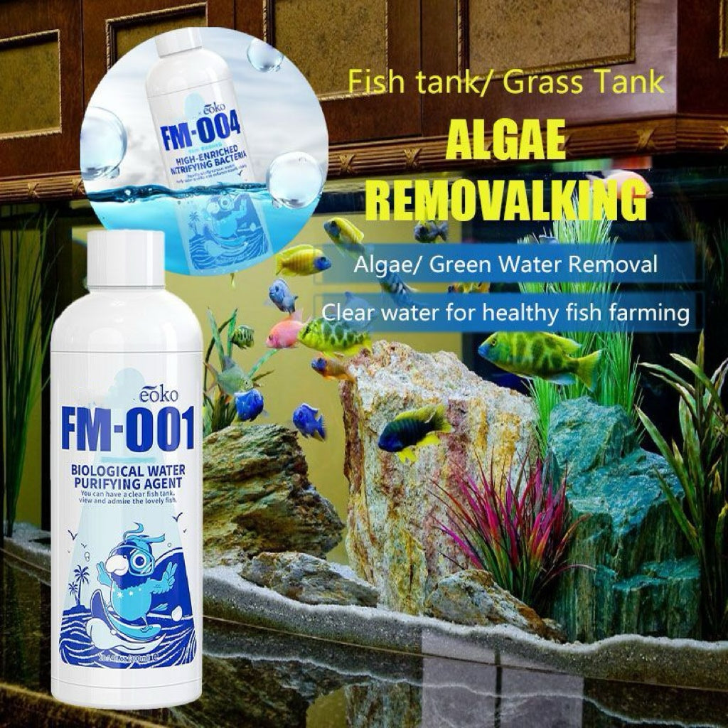 🔥Purificateur d'eau pour aquarium, éliminateur d'algues