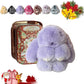 💕50% DE RÉDUCTION🐰🎁Breloques pompons en forme de lapin doux faites à la main🐰