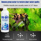 🔥Purificateur d'eau pour aquarium, éliminateur d'algues