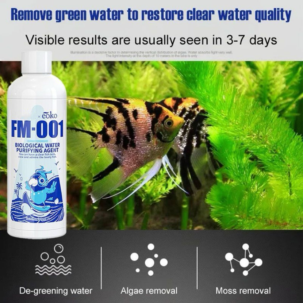 🔥Purificateur d'eau pour aquarium, éliminateur d'algues