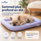 🐾 OFFRE LIMITÉE -50%🐶❄️ Offrez-leur une Sieste Fraîche – Coussin Gel Respirant 3D
