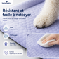 🐾 OFFRE LIMITÉE -50%🐶❄️ Offrez-leur une Sieste Fraîche – Coussin Gel Respirant 3D