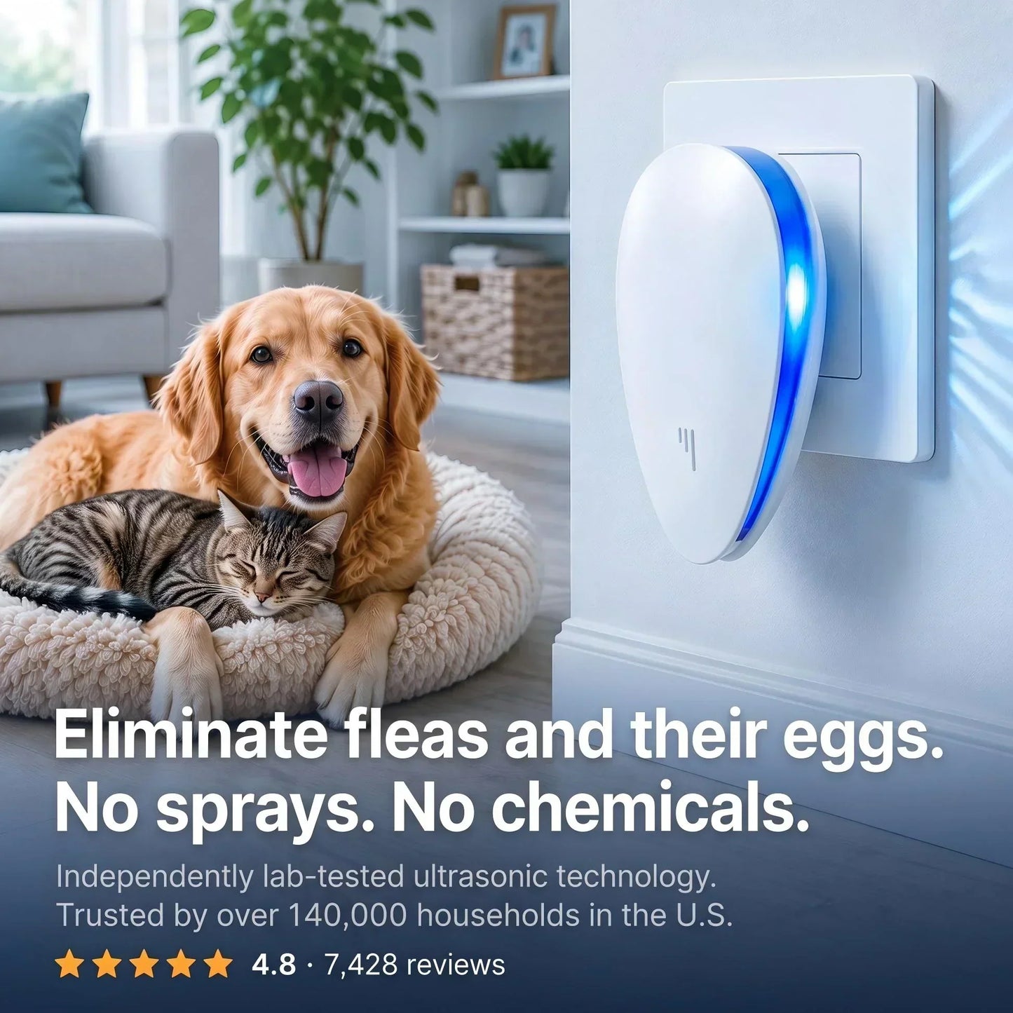 🔥🎁 50 % de réduction🥳🏠 Répulsif à ultrasons amélioré, éloigne les puces, les insectes et les rongeurs, alimenté par prise électrique