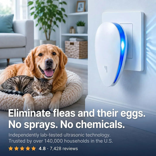 🔥🎁 50 % de réduction🥳🏠 Répulsif à ultrasons amélioré, éloigne les puces, les insectes et les rongeurs, alimenté par prise électrique