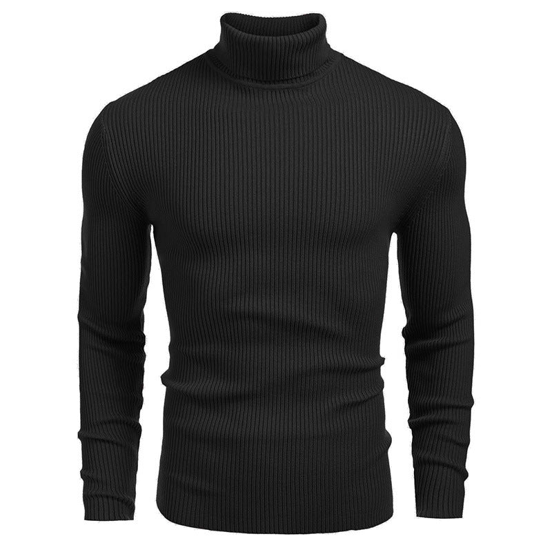 Nouvelle promotion📢60 % DE RÉDUCTION❗Pull fin à col roulé en tricot pour hommes d'hive