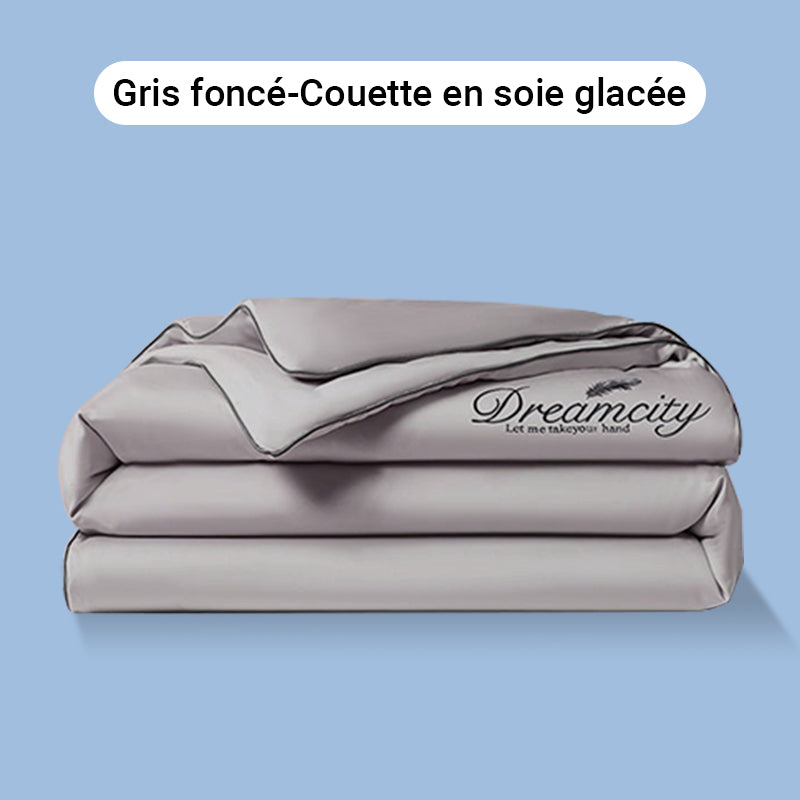 🛏Meilleurs prix pour l'été❄️Parure de lit quatre pièces en velours de haute qualité💕Confortable et rafraîchissant(🚀55% de réduction)