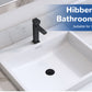 Filtre de vidange 3-en-1 amélioré Hibbent pour lavabo, bouchon à ressort universel, panier à cheveux amovible en acier inoxydable, bouchon de lavabo de 1,1 à 2,36 pouces, cartouche en laiton, noir mat