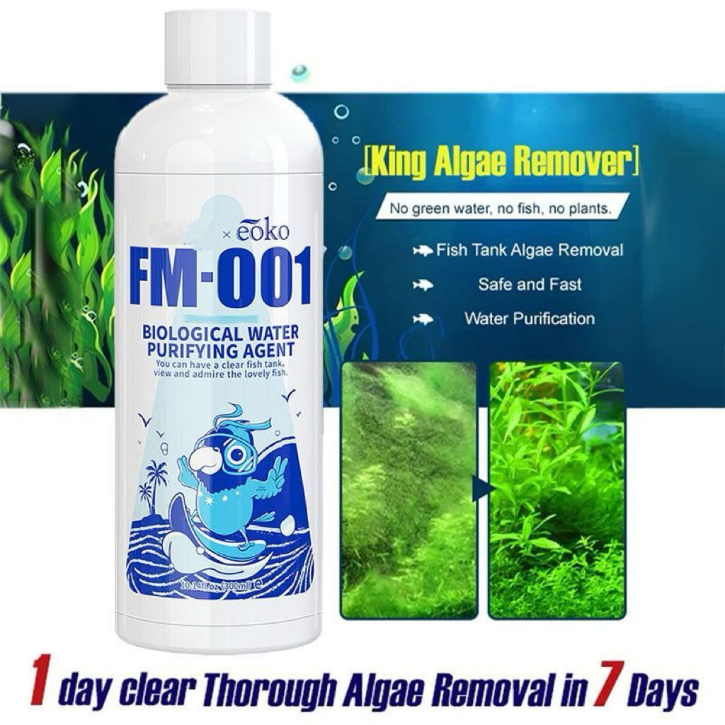 🔥Purificateur d'eau pour aquarium, éliminateur d'algues