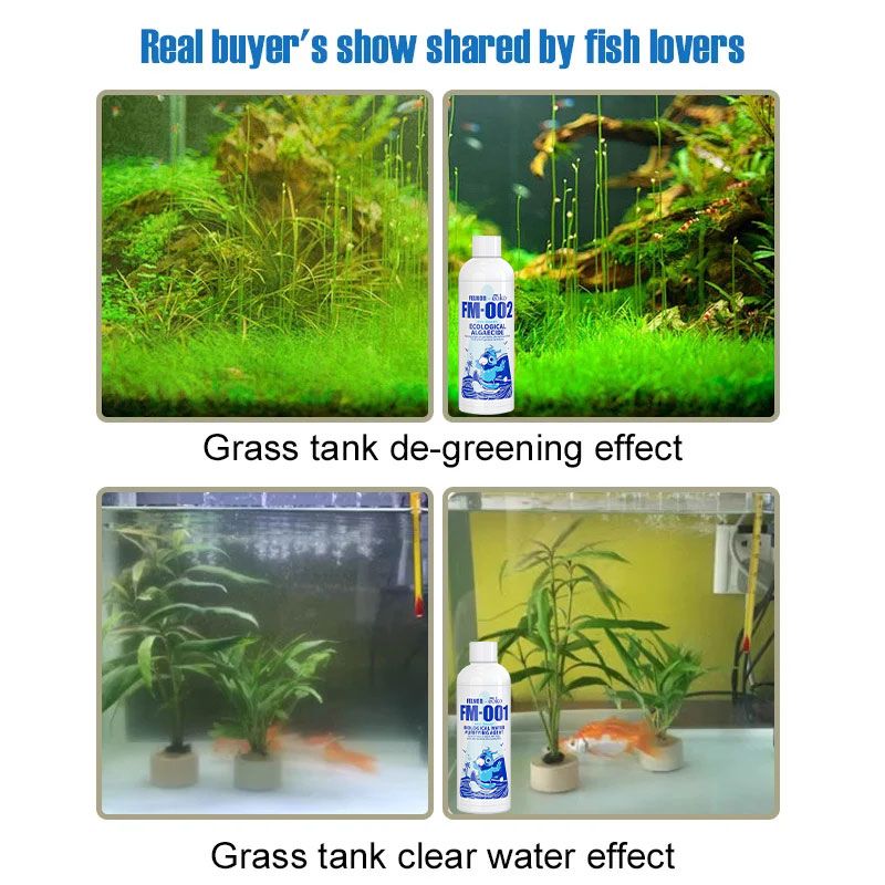 🔥Purificateur d'eau pour aquarium, éliminateur d'algues