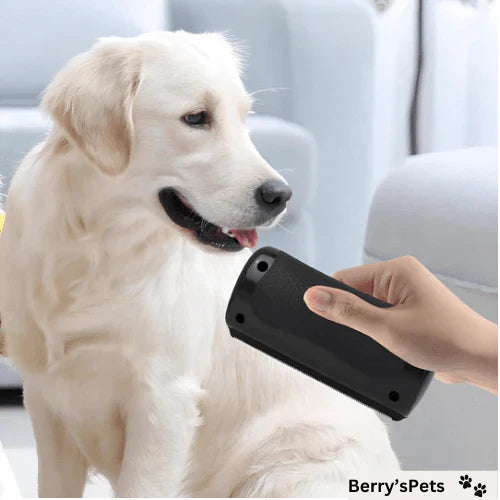 💥 Brosse pour animaux de compagnie