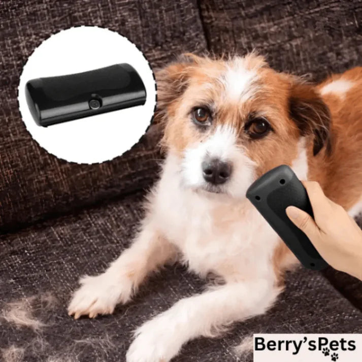 💥 Brosse pour animaux de compagnie