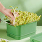 💚Stackable Bean Sprout Growing Box🎉 Second One at Half Price ! Conception multicouche, parfait pour la culture à domicile, la vie saine et verte !