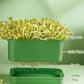 💚Stackable Bean Sprout Growing Box🎉 Second One at Half Price ! Conception multicouche, parfait pour la culture à domicile, la vie saine et verte !