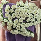 🎁2025 Nouveaux produits💐Couverture bouquet au crochet
