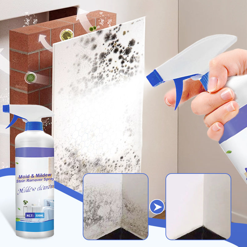 50 % de réduction🔥Spray détachant multi-usages pour moisissures et mildiou