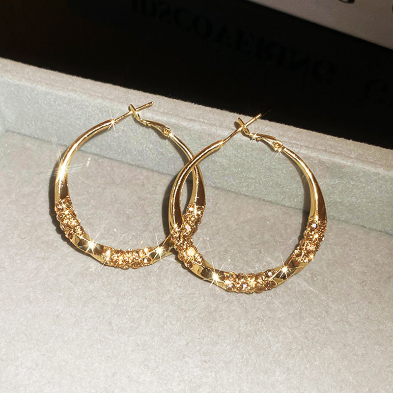 🌙💎Boucles d'oreilles circulaires avec zircon(🔥50% de réduction)