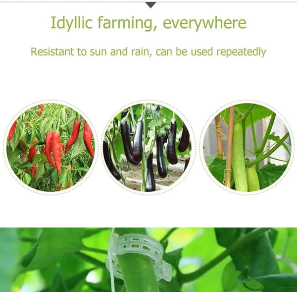 🗜️Clips pour plantes grimpantes – Attaches en plastique pour tomates et plantes grimpantes 🌱🍅
