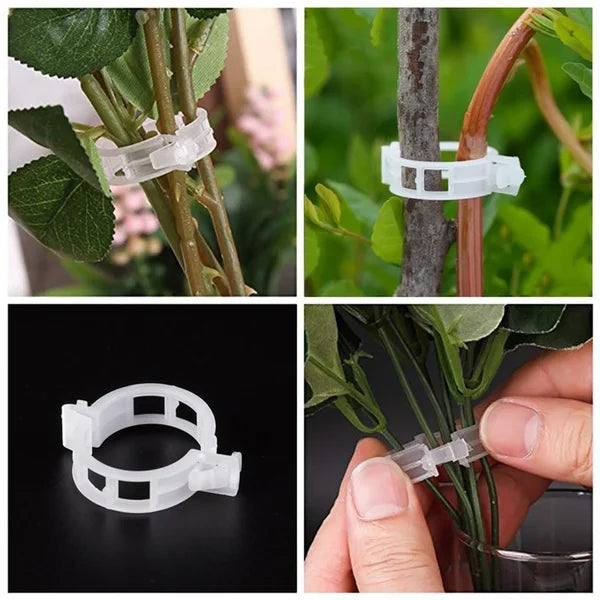 🗜️Clips pour plantes grimpantes – Attaches en plastique pour tomates et plantes grimpantes 🌱🍅