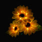 🌻Lampes solaires de jardin étanches en forme de tournesol☀️