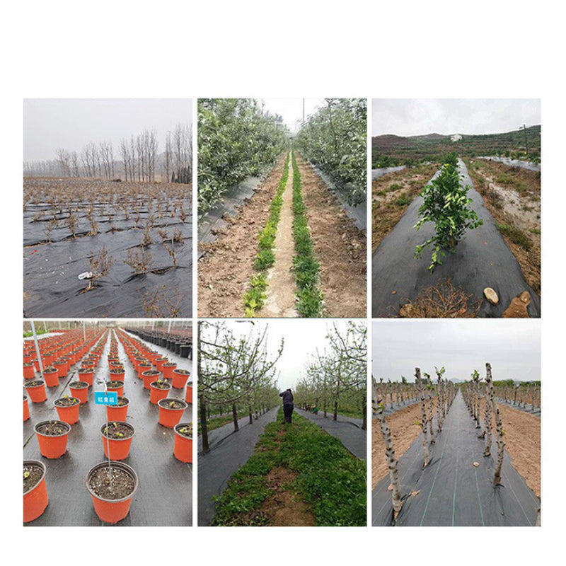 🌿 50 % DE RÉDUCTION MAINTENANT ! ⛏️ Toile de paillage – Bloque la lumière du soleil, respirante et résistante – Idéale pour les massifs et les allées – réduit l'effort de désherbage 🌱✨
