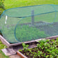 🌱60 % DE RÉDUCTION MAINTENANT ! ✨ Cache-plantes pliable et pliable en filet – Protège vos plantes, design respirant et installation facile 🌿