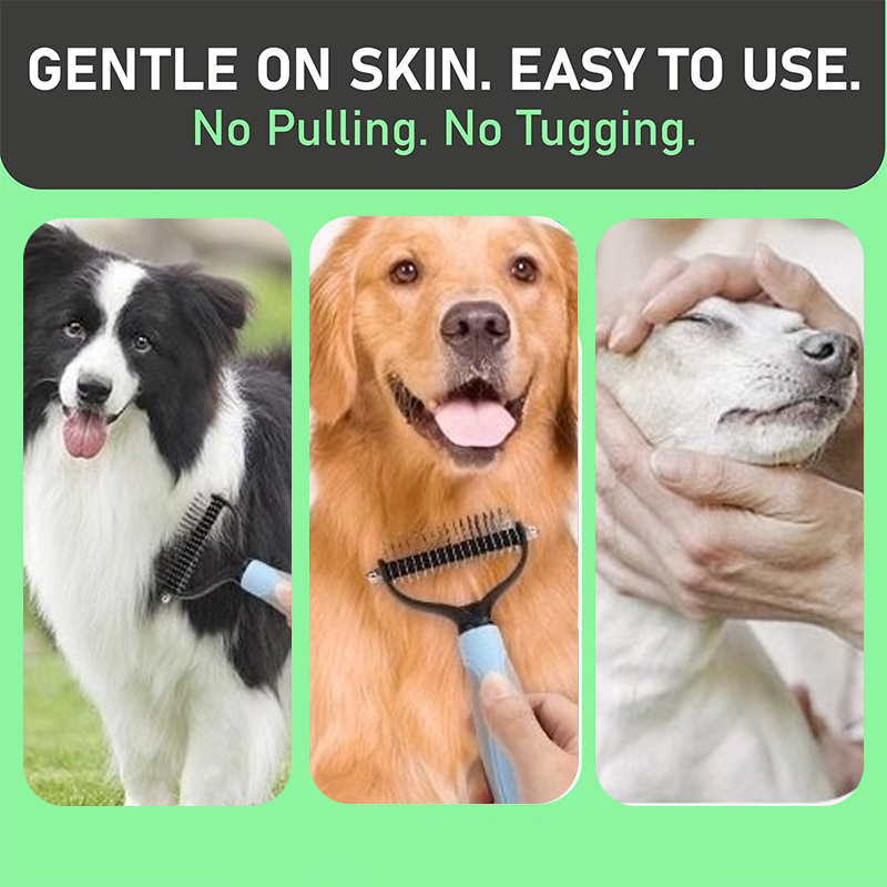 Peigne de toilettage pour animaux ✨ Un côté démêle, l'autre enlève les poils morts. Ses dents arrondies retirent facilement les poils, pour un toilettage impeccable en un seul passage 🧹