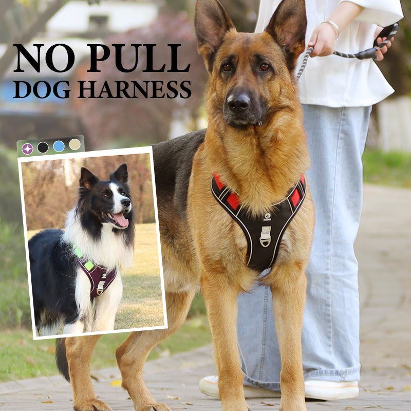 💐60% DE RÉDUCTION ! Harnais anti-traction avec laisse LED – Sécurité maximale pour vos promenades nocturnes 🐕✨【Offre Limitée】