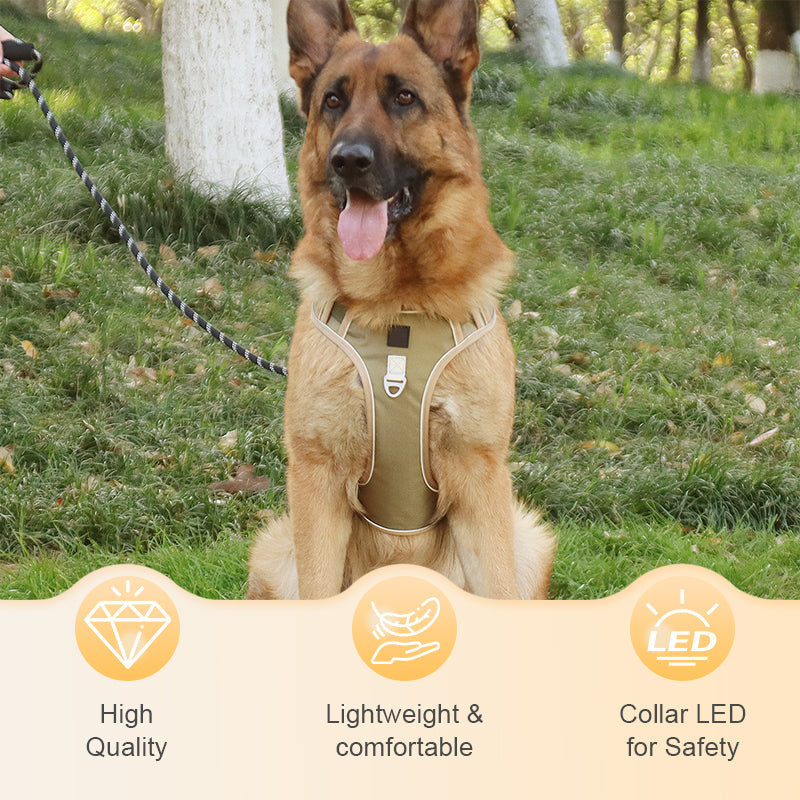 💐60% DE RÉDUCTION ! Harnais anti-traction avec laisse LED – Sécurité maximale pour vos promenades nocturnes 🐕✨【Offre Limitée】