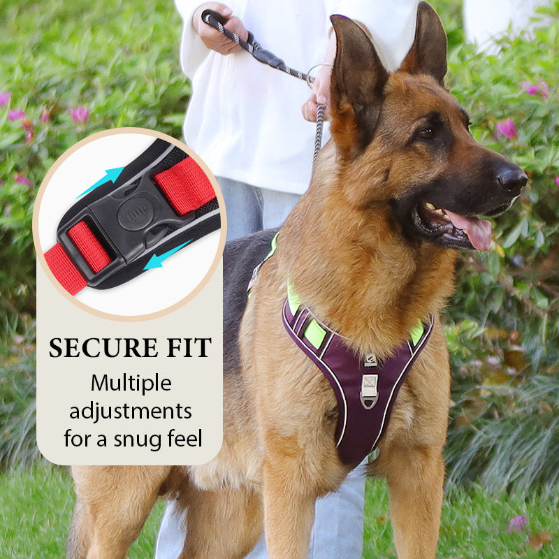 💐60% DE RÉDUCTION ! Harnais anti-traction avec laisse LED – Sécurité maximale pour vos promenades nocturnes 🐕✨【Offre Limitée】