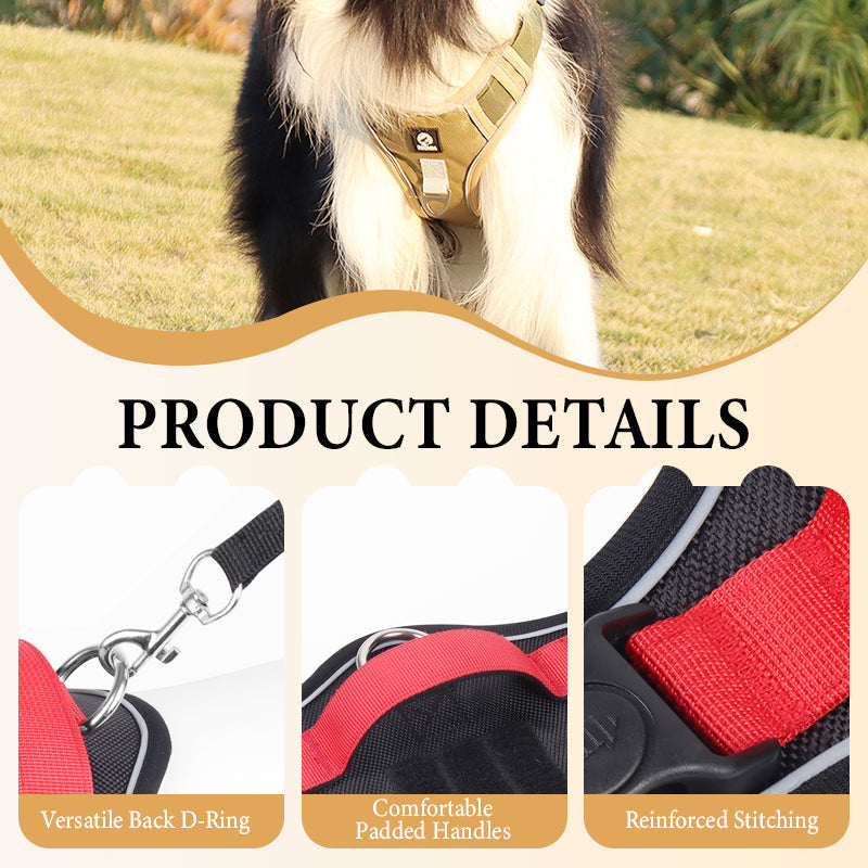 💐60% DE RÉDUCTION ! Harnais anti-traction avec laisse LED – Sécurité maximale pour vos promenades nocturnes 🐕✨【Offre Limitée】