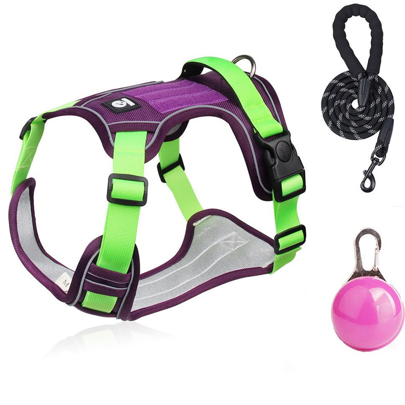 💐60% DE RÉDUCTION ! Harnais anti-traction avec laisse LED – Sécurité maximale pour vos promenades nocturnes 🐕✨【Offre Limitée】