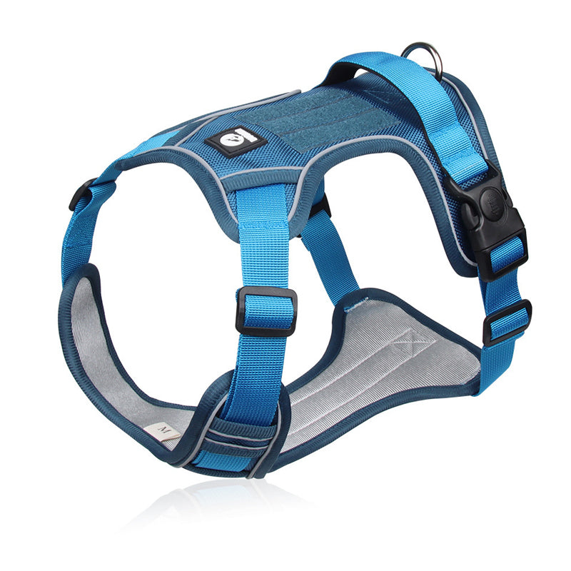 💐60% DE RÉDUCTION ! Harnais anti-traction avec laisse LED – Sécurité maximale pour vos promenades nocturnes 🐕✨【Offre Limitée】
