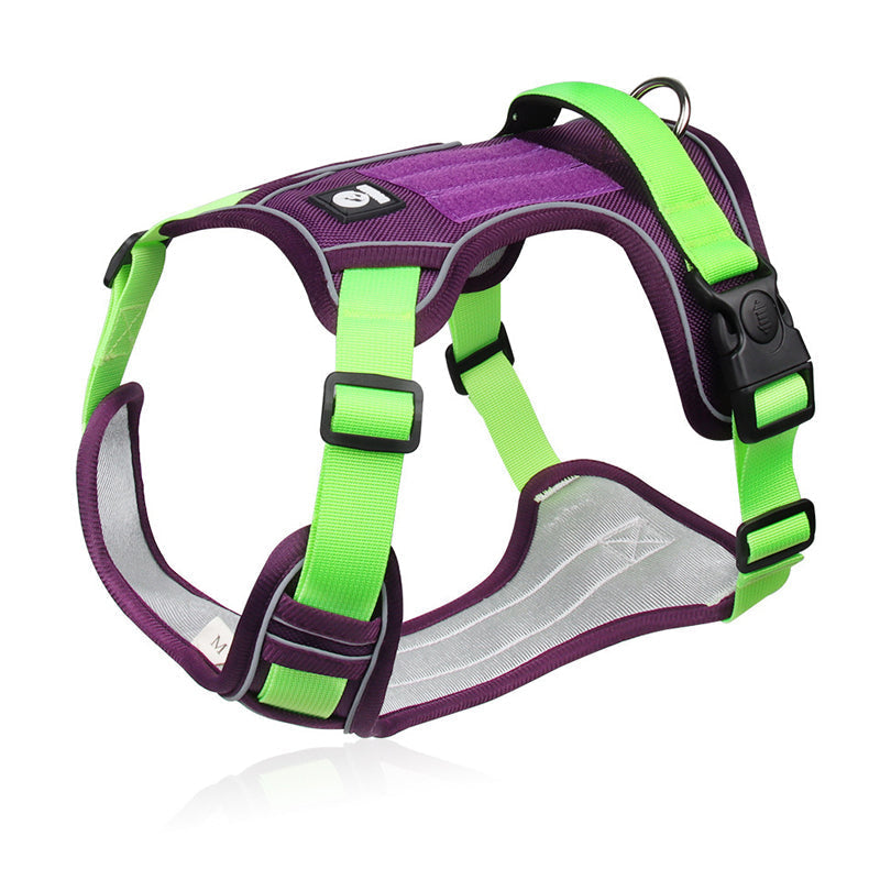 💐60% DE RÉDUCTION ! Harnais anti-traction avec laisse LED – Sécurité maximale pour vos promenades nocturnes 🐕✨【Offre Limitée】
