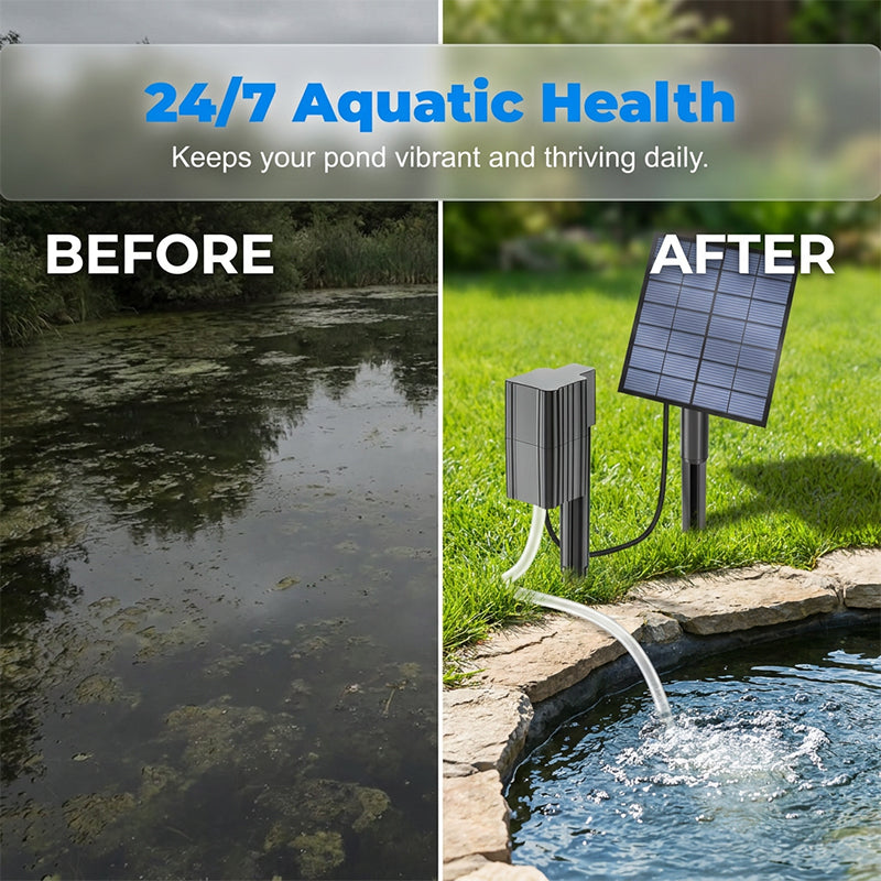 🔥 50 % DE RÉDUCTION 🐟 Aérateur de bassin à énergie solaire avec pompe à air intégrée ☀️ Oxygénez efficacement l'eau – sans frais d'électricité 🌿