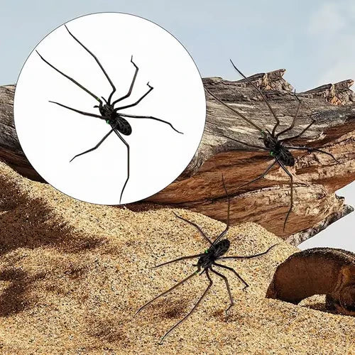 🎉🕷️ Aimants araignées réalistes – Décorez votre frigo, votre garage et votre voiture avec des bonbons ou un sort – Amusez-vous pour Halloween toute l'année ! 🏠