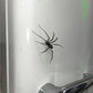 🎉🕷️ Aimants araignées réalistes – Décorez votre frigo, votre garage et votre voiture avec des bonbons ou un sort – Amusez-vous pour Halloween toute l'année ! 🏠