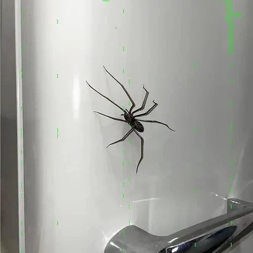 🎉🕷️ Aimants araignées réalistes – Décorez votre frigo, votre garage et votre voiture avec des bonbons ou un sort – Amusez-vous pour Halloween toute l'année ! 🏠
