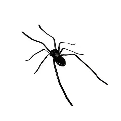 🎉🕷️ Aimants araignées réalistes – Décorez votre frigo, votre garage et votre voiture avec des bonbons ou un sort – Amusez-vous pour Halloween toute l'année ! 🏠