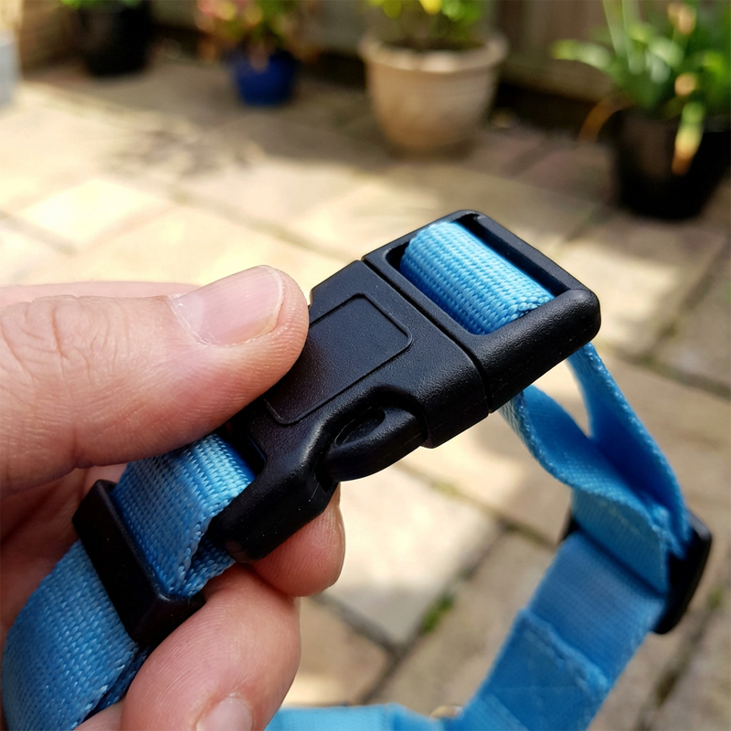 Harnais pour chien lumineux à LED pour les promenades nocturnes
