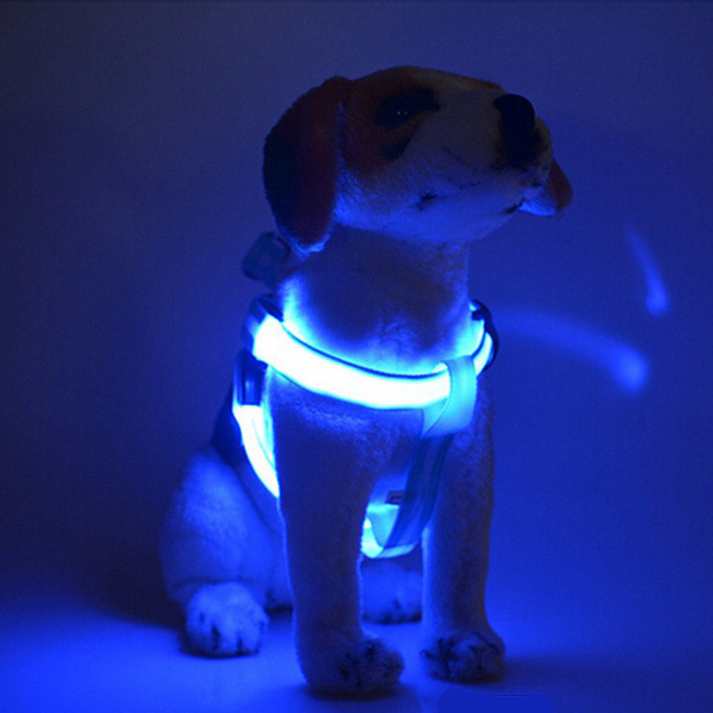 Harnais pour chien lumineux à LED pour les promenades nocturnes