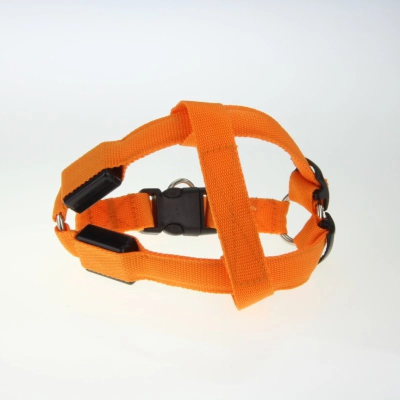 Harnais pour chien lumineux à LED pour les promenades nocturnes