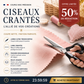 ✂️🧵 Ciseaux à bord zig-zag en acier inoxydable – Poignée ergonomique, anti-effilochage, coupez tissu, papier et cuir avec une finition propre, le couteau suisse des loisirs créatifs 🌸🎨